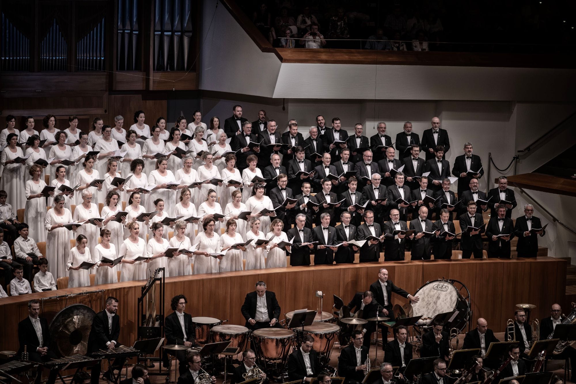 Carl Orff: Carmina Burana
Alexander Liebreich, Orquesta de Valencia, Orfeón Pamplonés